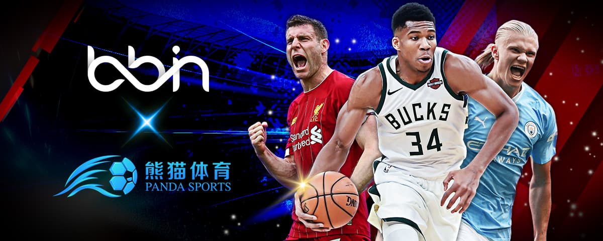 使在教练不