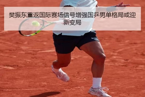 樊振东重返国际赛场信号增强国乒男单格局或迎新变局